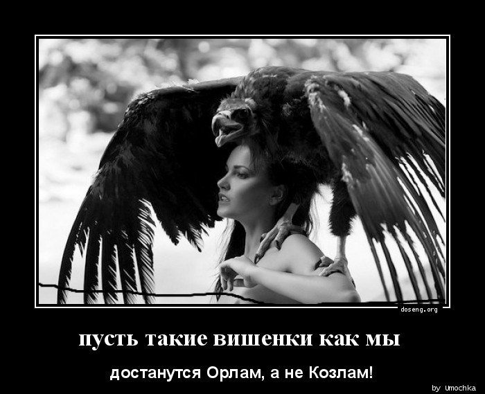 Лучшие модные луки для девушек на лето 2017 года: фото Картина с фотографии, портрет с фотографии, подарок на