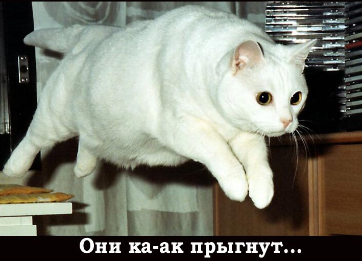 Смотреть смешарики новые приключения фильмы