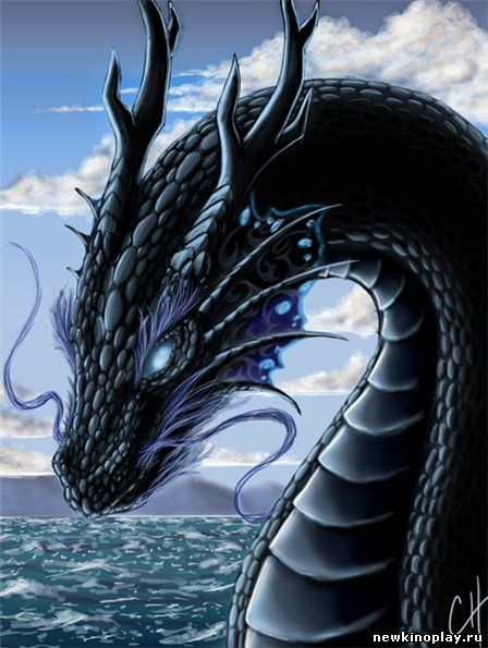 Похожие темы: прикольные цитаты о знаках задиаков и смешные знаки