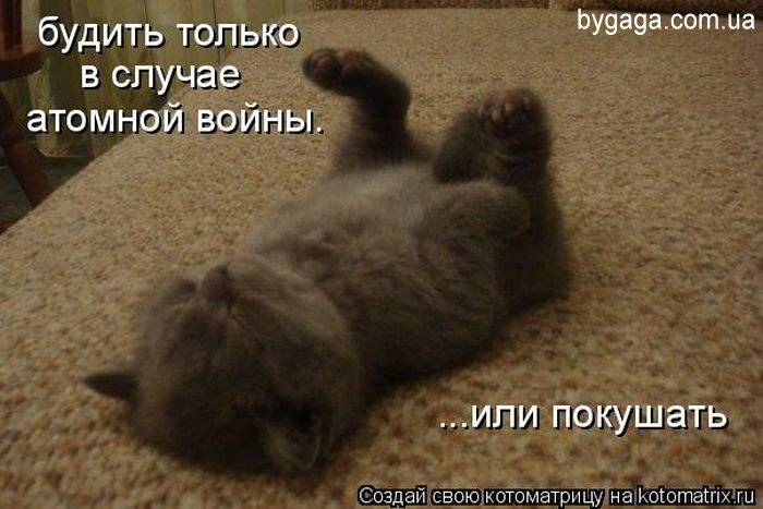 http://4stor.ru/uploads/forum/images/1378992453.jpg