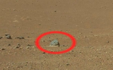 Что видят на Марсе: загадочные снимки с Красной планеты