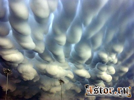 Mammatus clouds