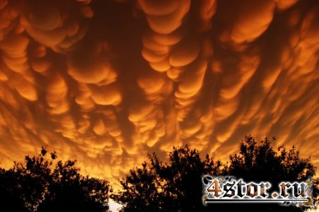 Mammatus clouds