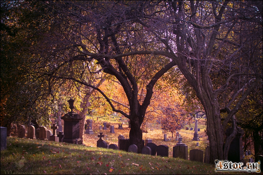 GreenWood Cemetery, Brooklyn, New York