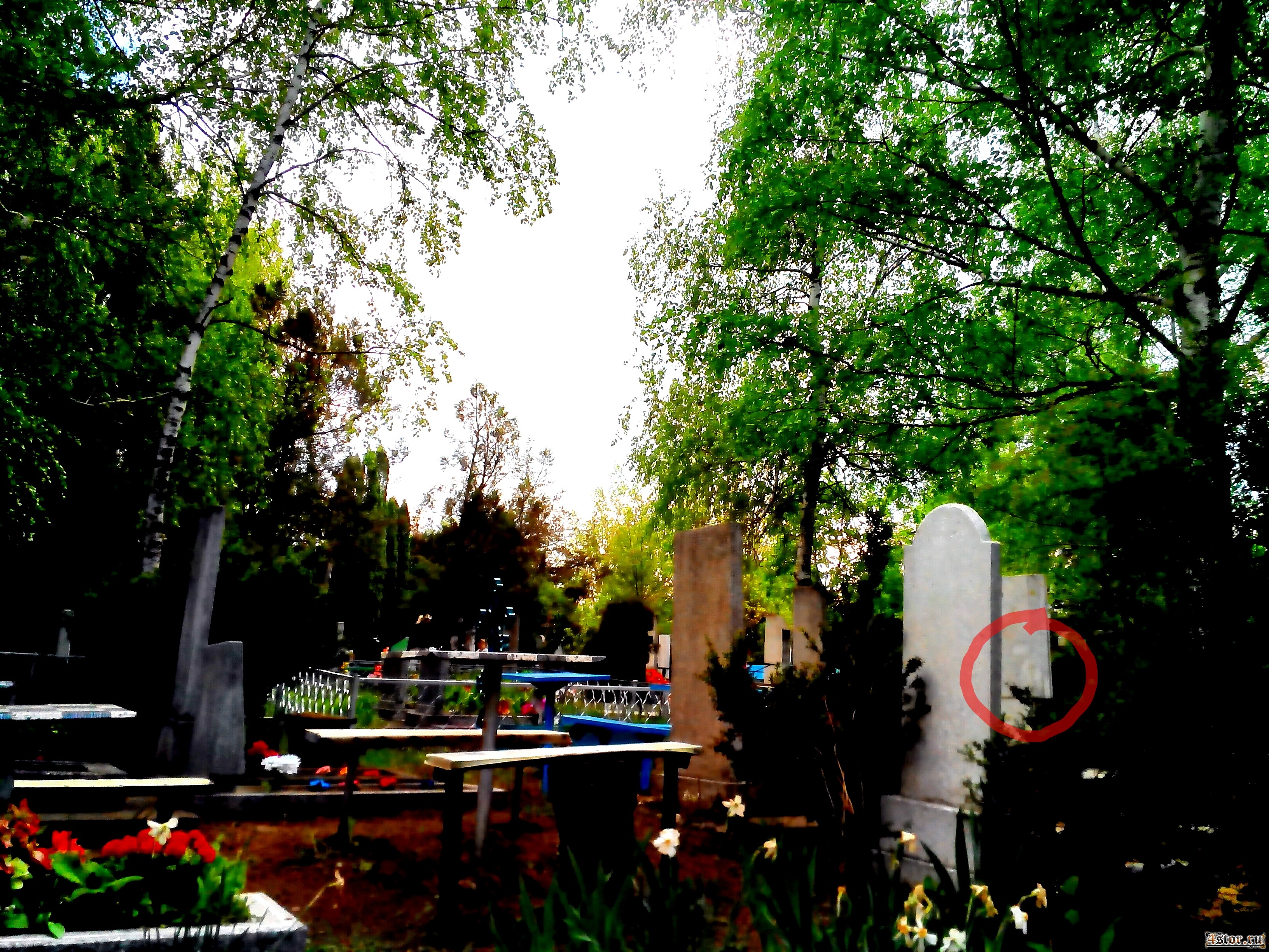 Фото призраков на кладбище