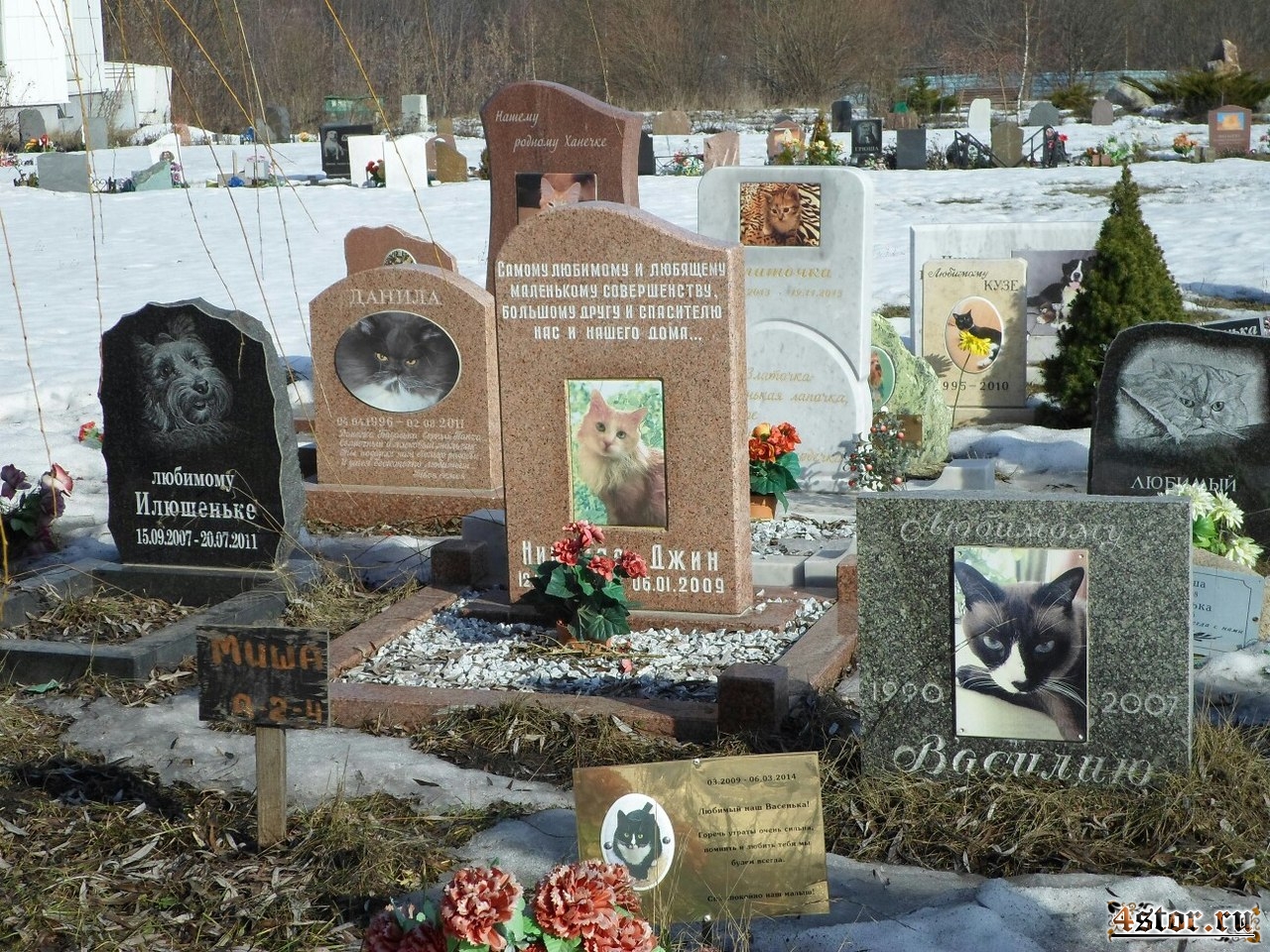Столичное кладбище домашних животных, Москва