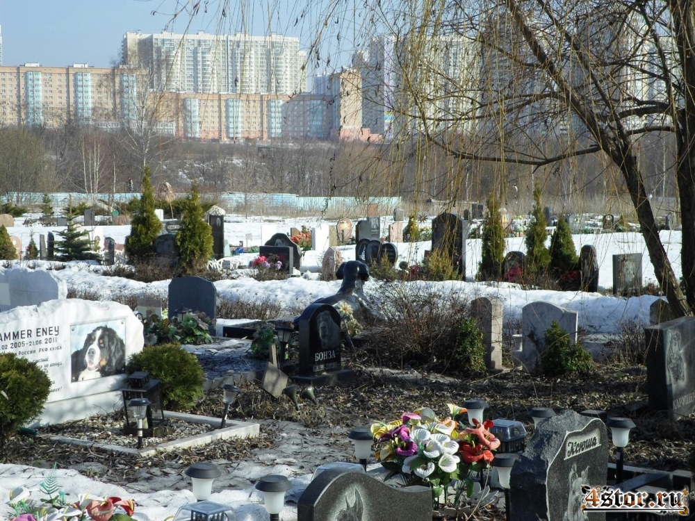 Кладбище домашних животных, Москва (Химки/Куркино)