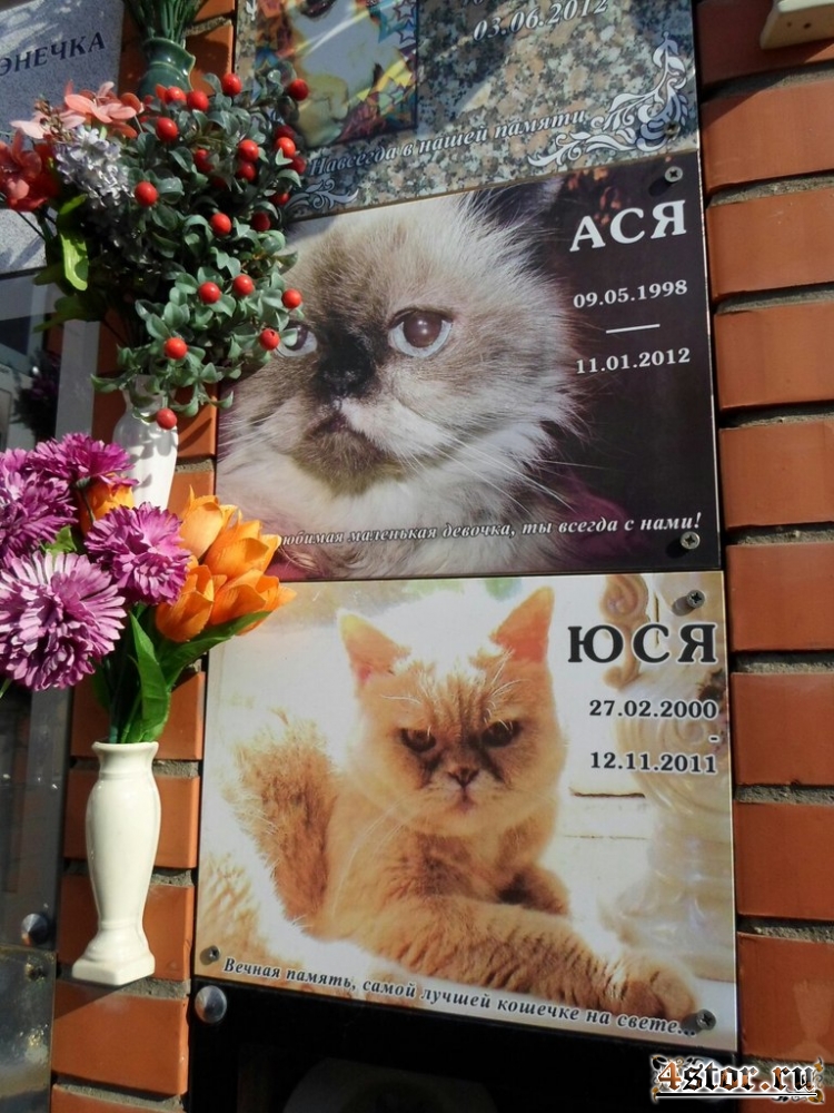 Кладбище домашних животных, Москва (Химки/Куркино)