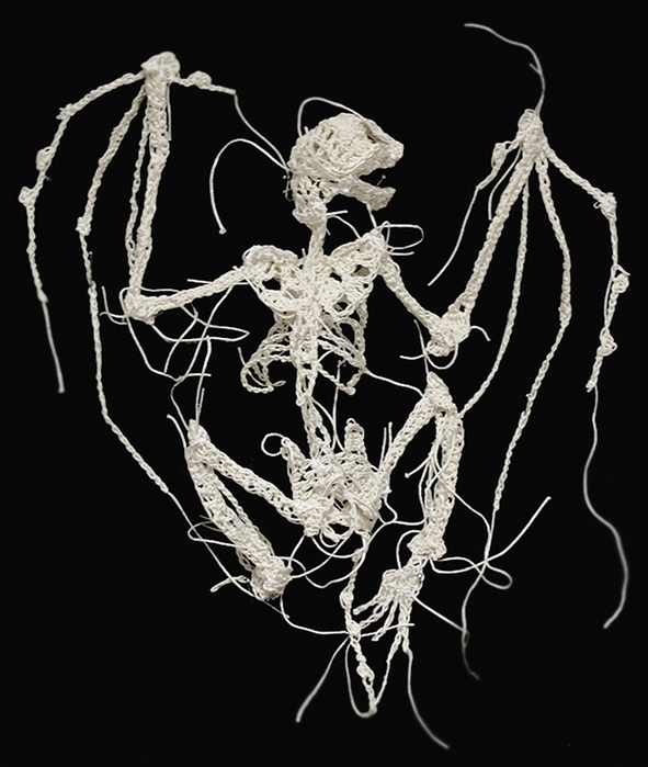 Caitlin McCormack - вязаные скелеты